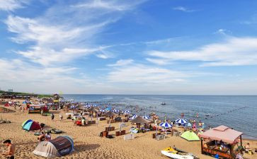 旅游文化活动方案5篇