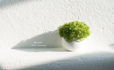 慢的读后感6篇