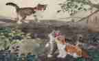 我的猫作文300字模板5篇