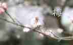 张桂梅老师心得体会8篇