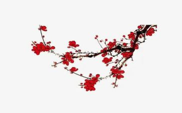 《梅花魂》的读后感推荐6篇