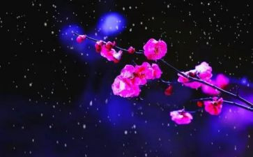 《梅花魂》的读后感6篇