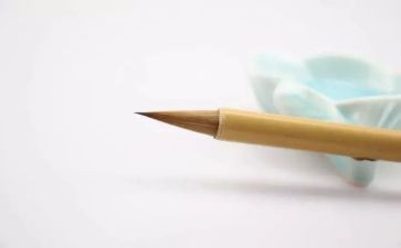 我是电视迷的作文8篇
