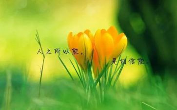 有进名人作文7篇