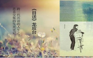 写目送的读后感1000字8篇