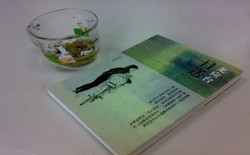 龙应台的《目送》读后感优质5篇