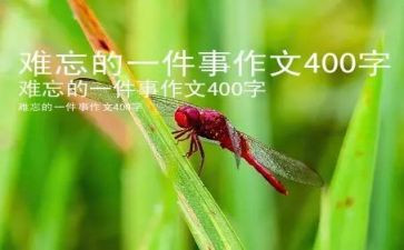 写难忘的一件事作文600字7篇
