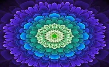 我身边的正能量的作文5篇