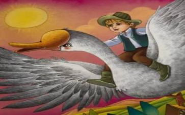 尼尔斯读后感200字8篇