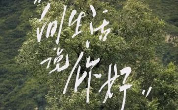 你好旧时光读后感6篇