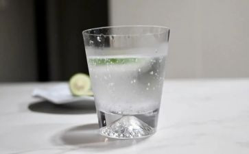 柠檬汁作文5篇