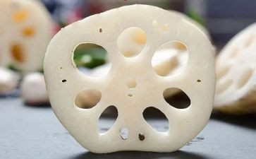 科学藕的教案精选7篇