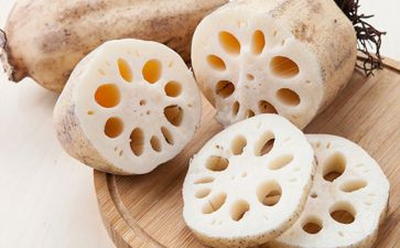 科学藕的教案5篇