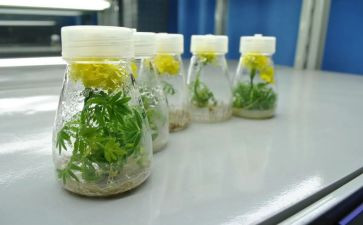 培养孩子爱阅读的心得7篇