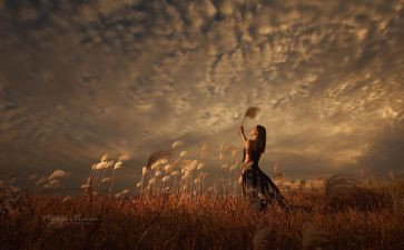 飘读书心得1000字优质7篇