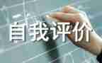 评价师工作总结最新5篇
