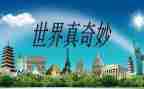 《奇妙的数王国》读后感8篇