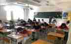 幼儿园期末教学总结最新7篇
