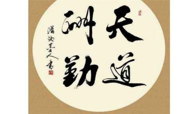 行政后勤周工作总结模板5篇