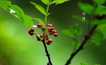 七月的工作计划7篇