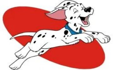 训练犬的心得体会优质6篇