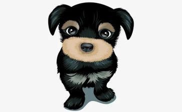 读双面猎犬读后感5篇