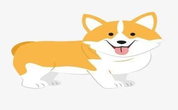 军犬黄狐读后感5篇