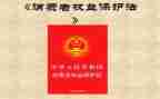 315消费者权益保护活动总结6篇