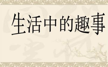 写暑假趣事作文推荐8篇