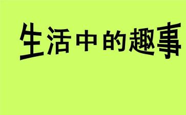 家庭趣事作文300字8篇