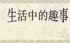 写暑假趣事作文推荐8篇