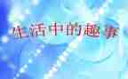 写暑假趣事作文精选5篇