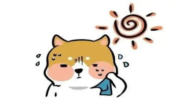 关于热爱读书演讲稿8篇