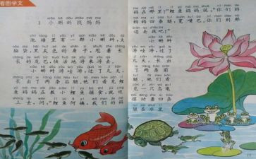 教师个人教学工作总结范文参考6篇