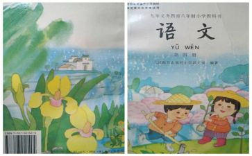小学科学教师个人教学总结与反思6篇