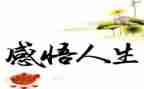 《人生》读后感400字8篇