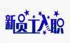 新入职员工年终总结精选5篇