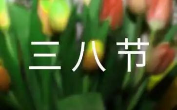 三八妇女节活动方案5篇