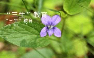 作文我的初三生活6篇
