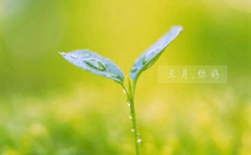 教师三月的工作总结简短范文5篇