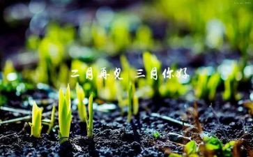三月段工作总结最新7篇