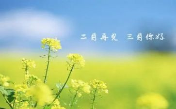 三月班工作总结模板5篇