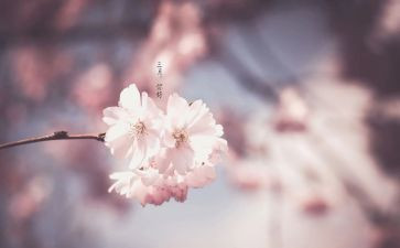 小学三月讲话稿5篇