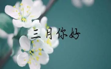 三月段工作总结通用5篇