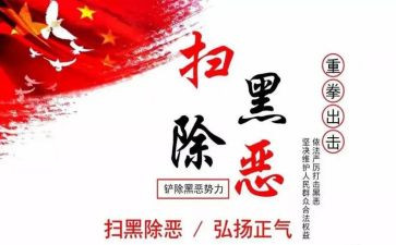 扫黑办个人先进事迹材料7篇