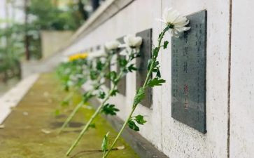 《扫墓》的作文推荐5篇