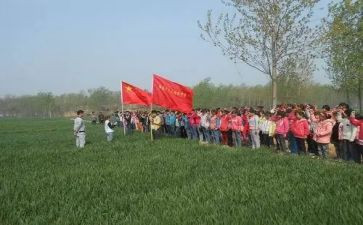 青协扫墓心得体会7篇