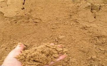 沙与沫读后感300字通用7篇