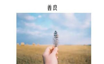 关于善的班会心得体会6篇