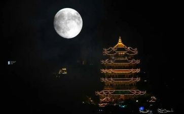 赏月心得体会6篇